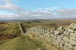 Whin: Hadrian's Wall, Northumberland, England