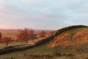 Whin: Hadrian's Wall, Northumberland, England