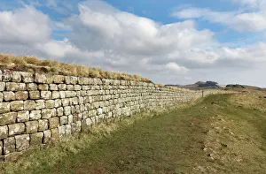 Whin: Hadrian's Wall, Northumberland, England