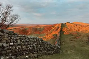 Whin: Hadrian's Wall, Northumberland, England