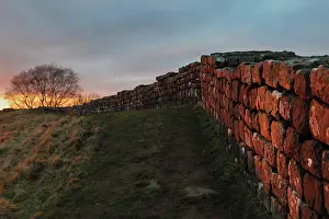 Whin: Hadrian's Wall, Northumberland, England