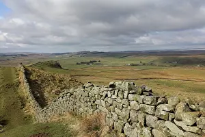 Whin: Hadrian's Wall, Northumberland, England