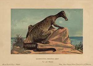 Tiere: Hadrosaur, extinct genus of ground dwelling