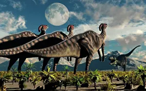 Howling: Hadrosaurid duckbill dinosaurs use soundwaves to defend a ?