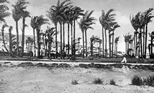 Haifa: Haifa, 1926