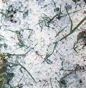 Hail: Hail, 1972