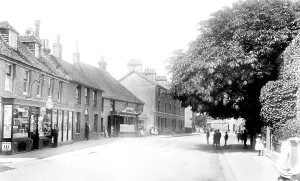 Hailsham: Hailsham, High Street 1902