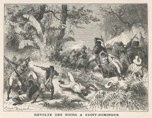 Haitian: Haitian Revolt in 1791