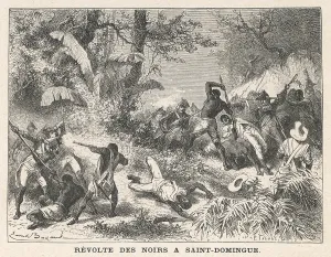 Haitian: Haitian Revolt in 1791