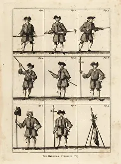 Halberd: Halberd military exercises
