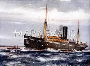 Halcyon: HALCYON STEAMSHIP