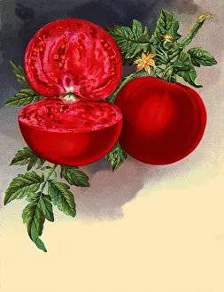 Tomatoes: Half and Whole Tomato