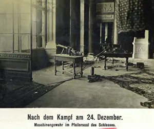 Violent: Hall in the City Palace in Berlin, 1918