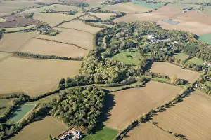 Repton: Down Hall, Essex