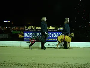 Handlers: Hall Green Greyhound Stadium, York Road, Birmingham