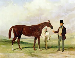 Brodsworth: Hall - Rataplan