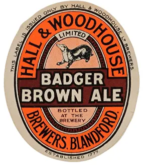 Badger: Hall & Woohouse Badger Brown Ale