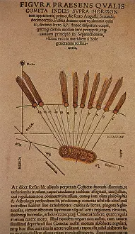 Halley: Halley's Comet, 1531
