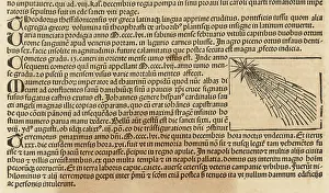 Halley: HALLEY'S COMET 1546-7