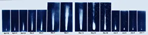 Halley: Halley's Comet, 1910
