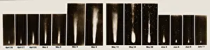 Halley: Halley's Comet, 1910