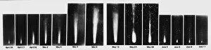 Halley: Halley's Comet, 1910