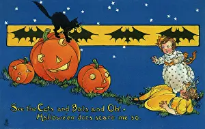 Halloween: Halloween