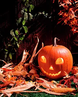 Halloween: Halloween Pumpkin