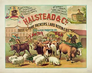 Pork: Halstead & Co. beef & pork Packers, Lard Refiners & Co