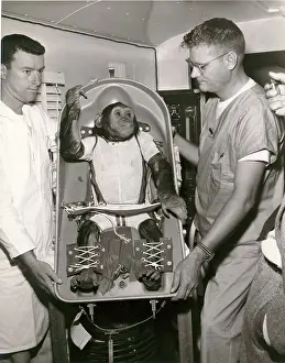 Apparent: Ham - a 37-pound chimpanzee - America's first ~astronaut
