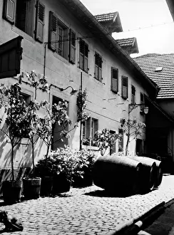 Potted: Hambach an der Weinstrasse, 1943