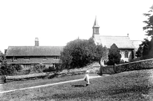 Hambledon: Hambledon, Church and Cottages 1904