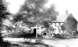 Hambledon: Hambledon, Green 1906