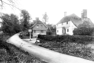 Harriers: Hambledon, the Merry Harriers 1906