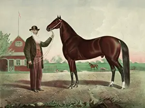 C1865: Hambletonian