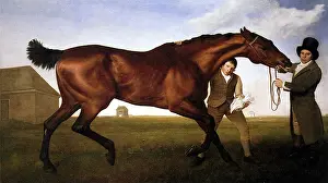 Equines: Hambletonian, by Stubbs