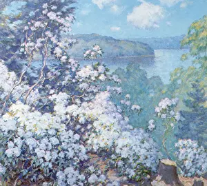 Winds: Hamburg Cove