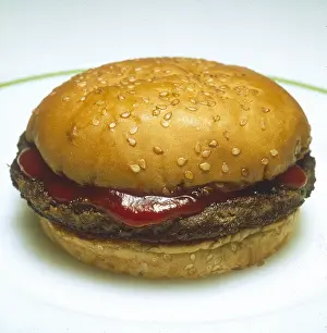Outlets: HAMBURGER & KETCHUP