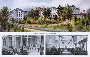 Bermudan: Hamilton Hotel, Bermuda