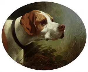 Whitehouse: Hamlet