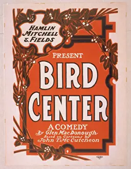 Macdonough: Hamlin, Mitchell & Fields present Bird center a comedy by Gl