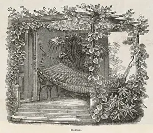 Summerhouse: HAMMOCK IN SUMMERHOUSE