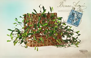 Hamper: Hamper of Mistletoe