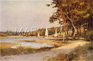 Bucklers: HAMPSHIRE/BEAULIEU RIVER