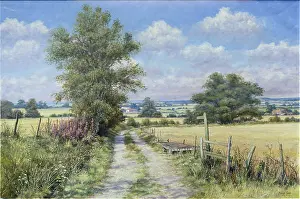 Mervyn: Hampshire Oak and Ash in High Summer