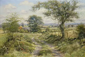 Mervyn: Hampshire Track, Midsummer