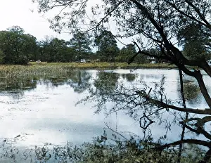HAMPSTEAD HEATH