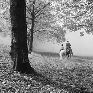 Wildwood: Hampstead Heath, London