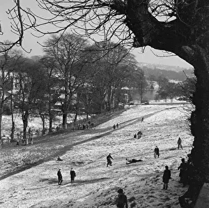 Whitestone: Hampstead Heath, London