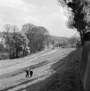 Whitestone: Hampstead Heath, London